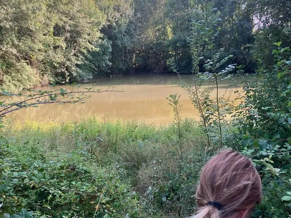 Propriété naturelle de plus de 10 hectares laplane ouest - saint-léon-d'issigeac (dordogne)