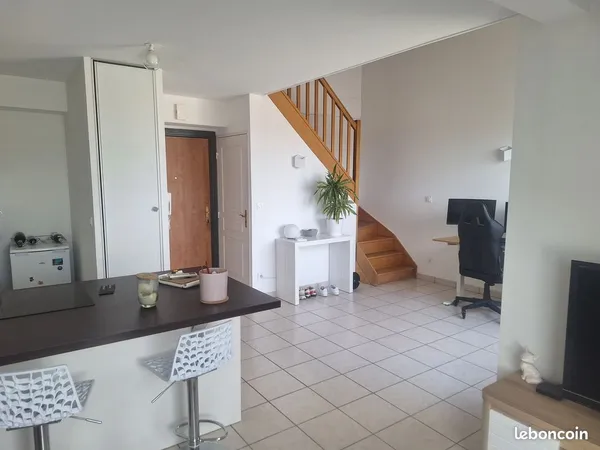 Appartement duplex - 62 m² - 3 pieces - 3/3