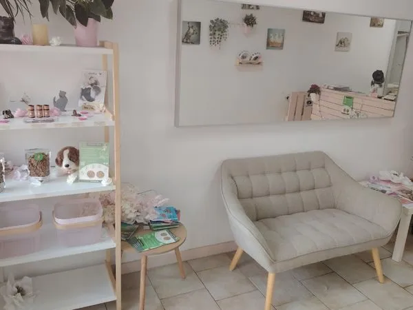 A vendre - fonds de commerce de toilettage canin et félin - la garde (83)