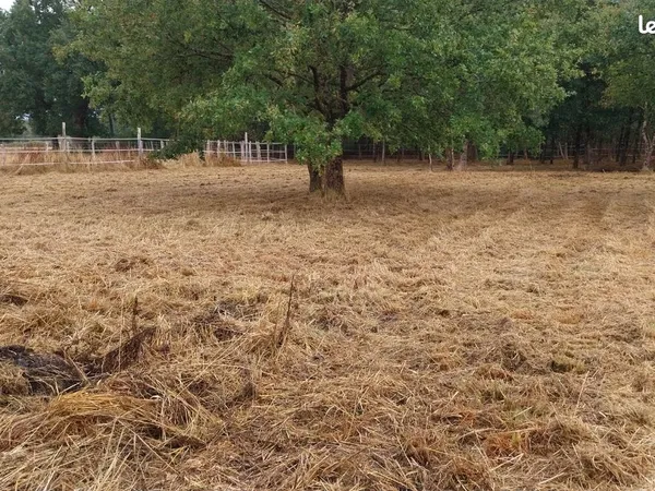 Pres pour chevaux