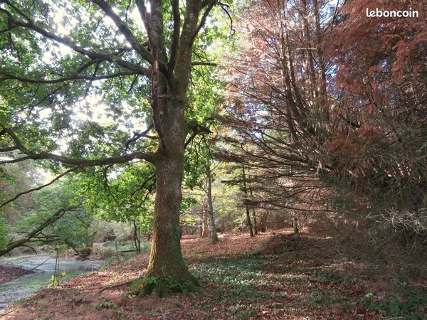 Terrain arboré près de Pont Scorff
