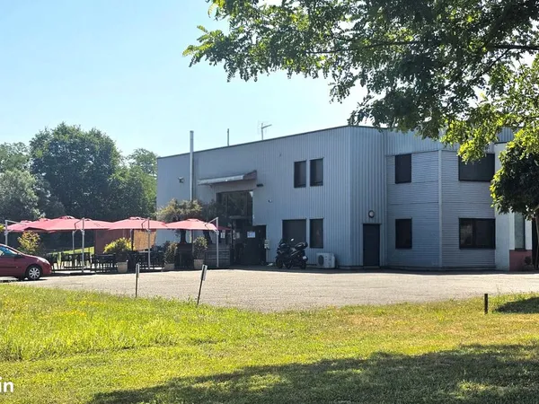 Local 486 m² WISSEMBOURG