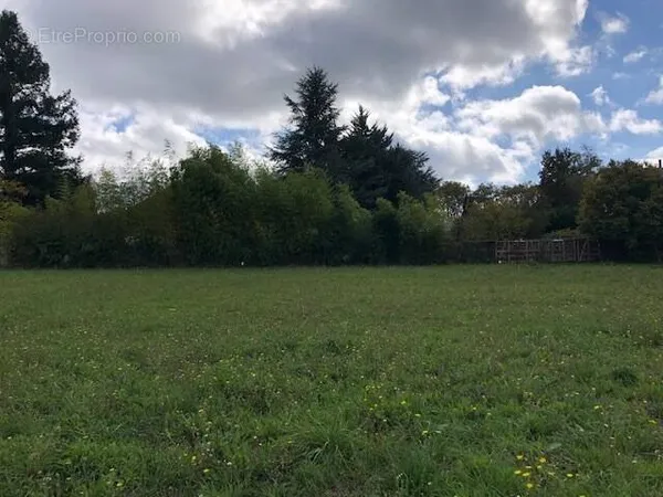 Terrain 1600 m²