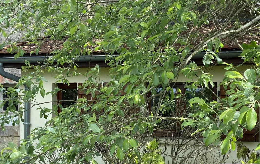 Photo 14