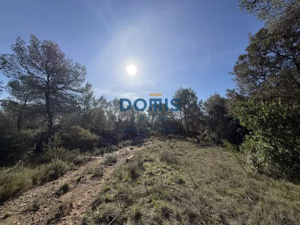 Terrain de loisir borné sur les hauteurs de Saint-Gély-du-Fe