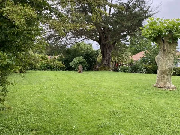 Terrain 717 m²
