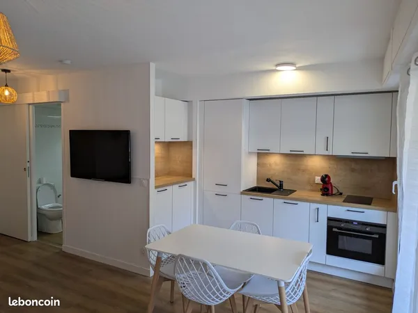 Studio 28 m² rénové meublé - Carnolès