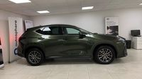 Lexus Nx 450h+ Luxe 4WD MY24 — photo 4