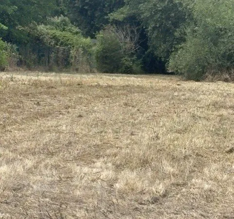 Situé au sein d(un lotissement de 6 lots ce t...