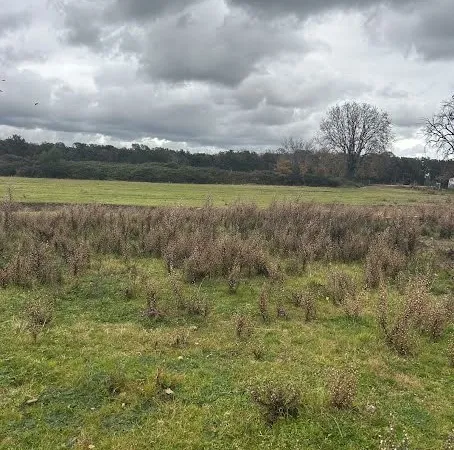 Terrain 1000 m²