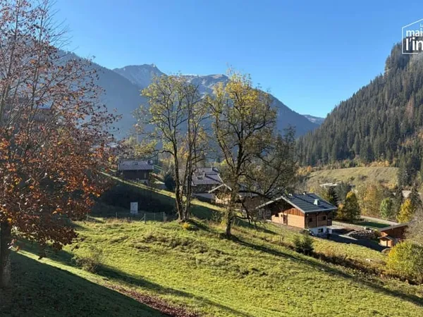 STUDIO - A VENDRE - CHATEL