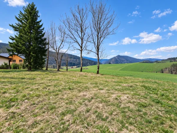 Terrain 679 m²