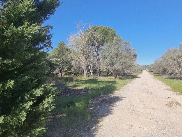 Terrain en lotissement 375 m²