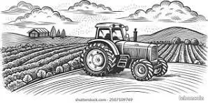Terrain agricole (50)