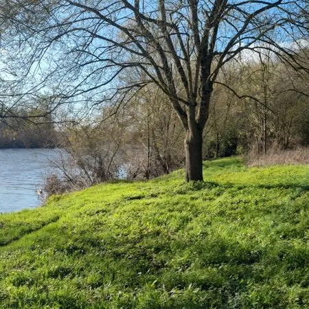 Terrain de loisirs