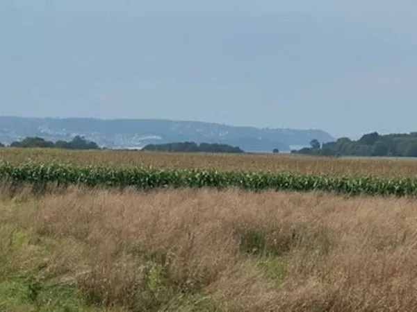 Terrain 546 m²