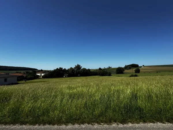 Terrain 6310 m²