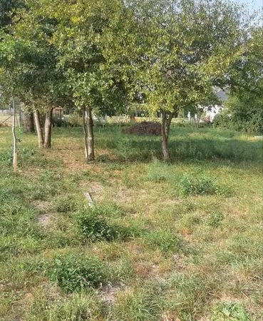 Terrain viabiliser EDF