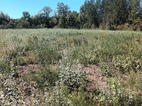 Terrain agricole