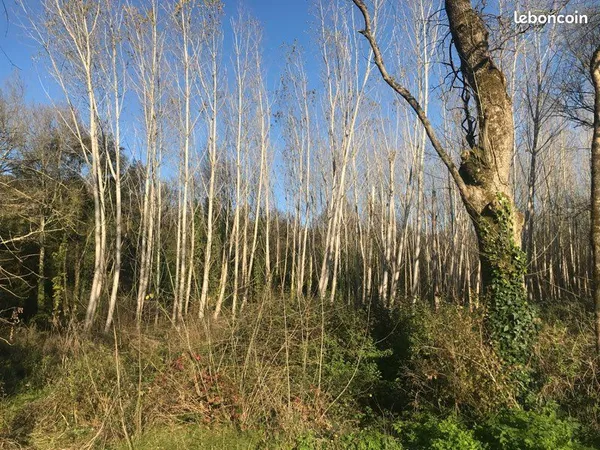 Terrain non constructible