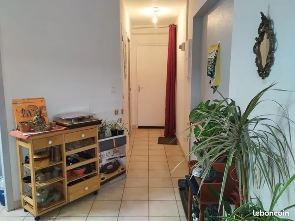 Appartement 35 m2 T2