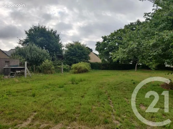 Terrain 1 138 m² Camoel