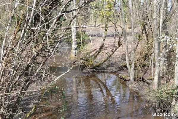 Terrain 22000 m² Nançay