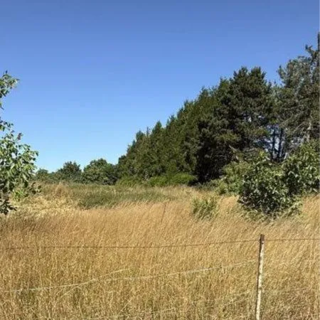 Terrains à bâtir