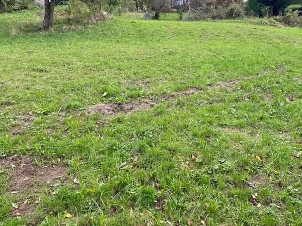 Terrain 1902 m²