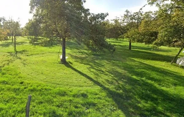 Terrain 1750 m²