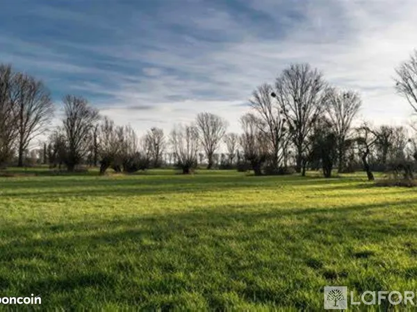 Terrain 1990 m² MERIGNIES