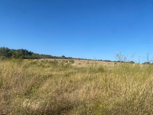 Terrain 446 m²