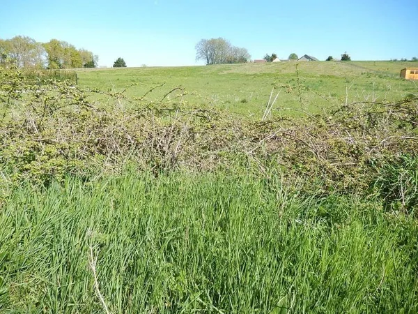 Terrain constructible 3378 m²