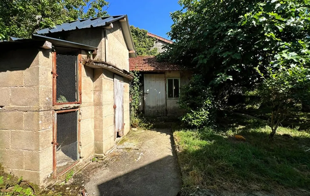 Photo 16