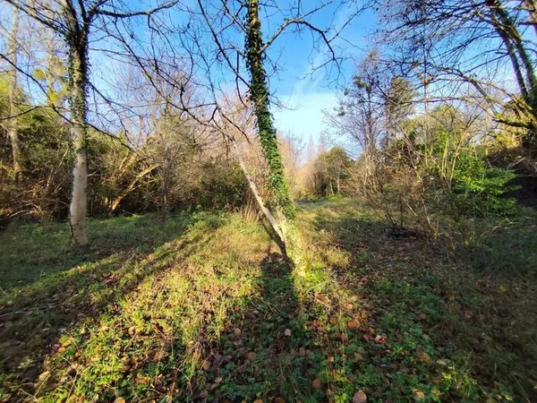 Maison 90 m²