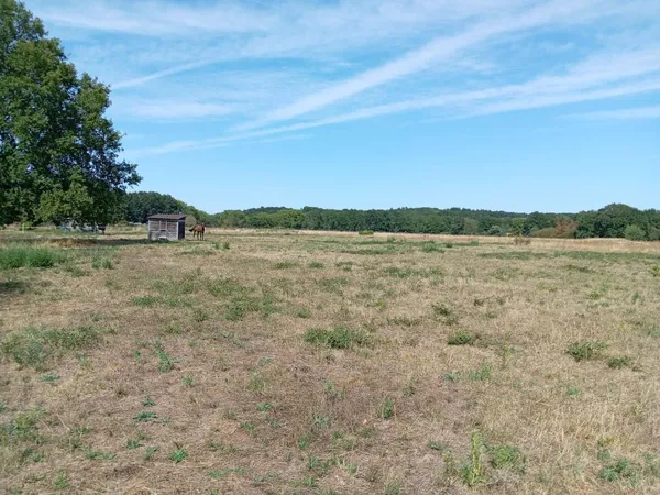 terrain agricole pour elevage chevaux avec piste d'entrainement au calme