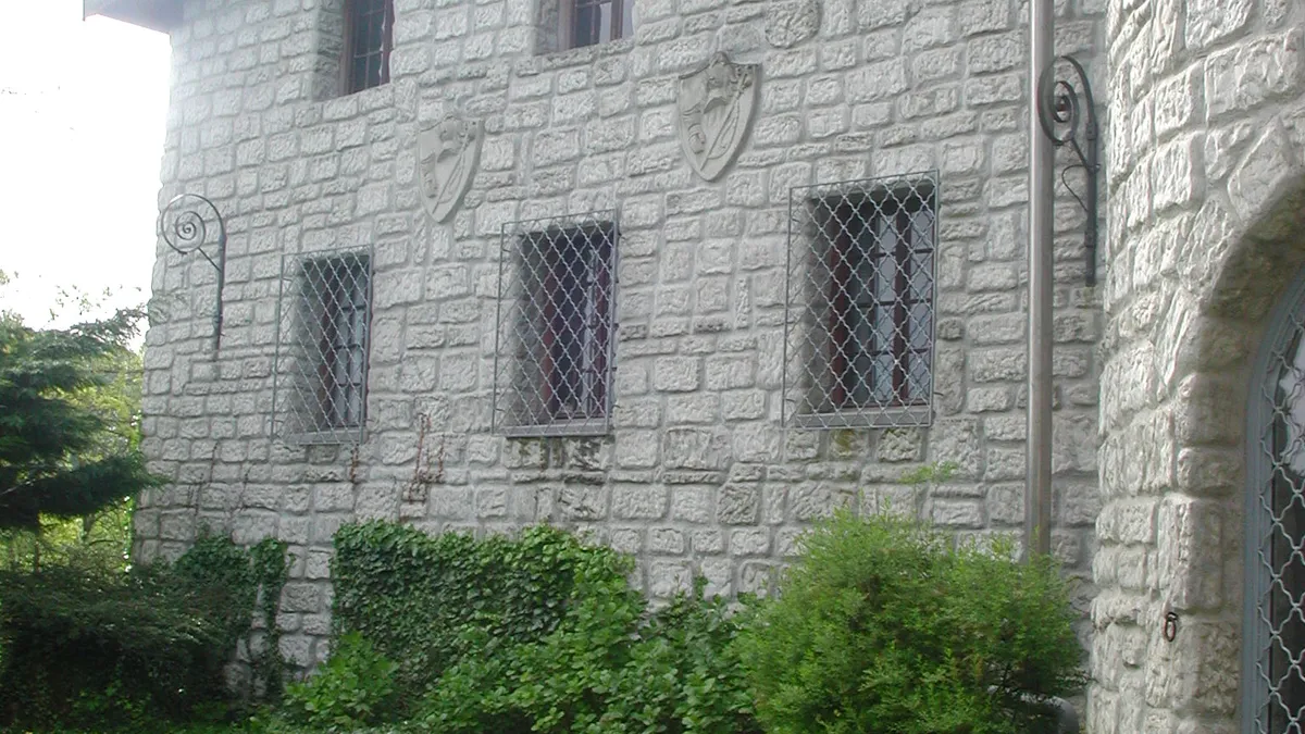 Photo 8