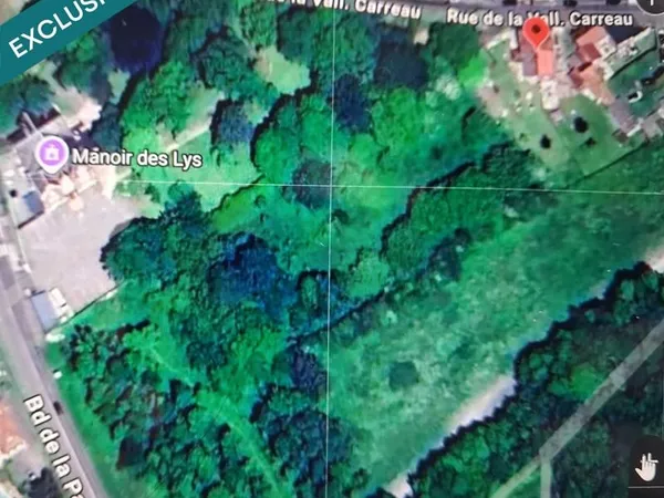 Grand terrain