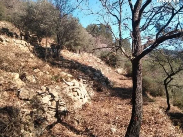 Loue terrain 10470M2 à Belgentier 83210 activités loisirs agricole