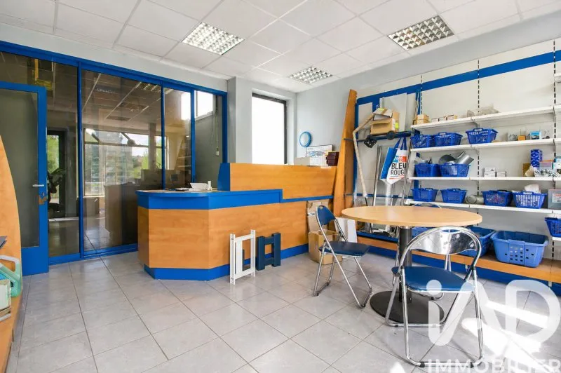 Photo 7