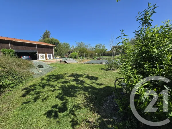 Terrain 979 m²