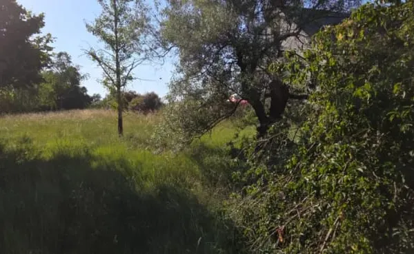 Terrain 420 m²