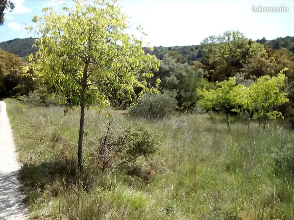 Terrain de loisir