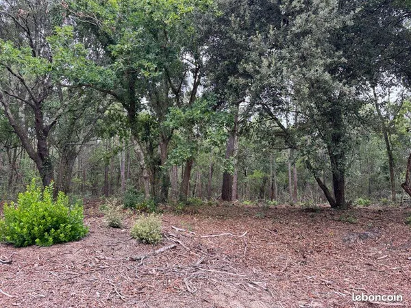 Vends Villa à rénover Super Pyla