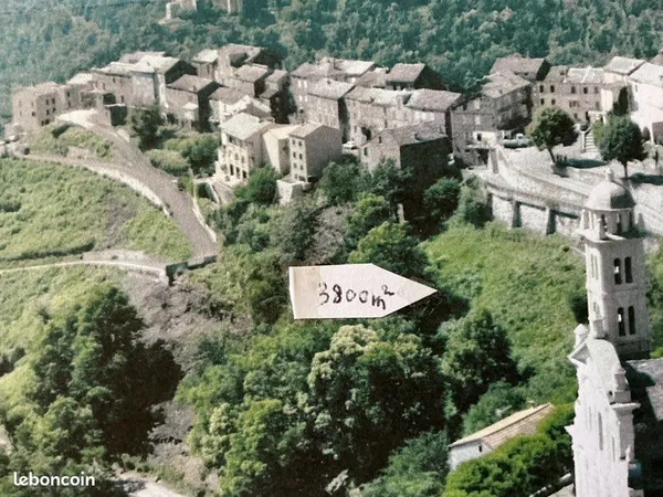 Vente immobilière terrain montagne corse