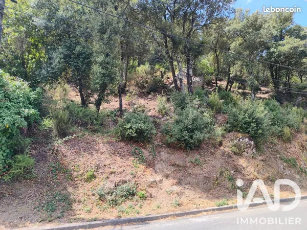 Terrain 1227 m² Sorède