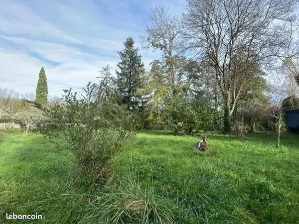 Terrain 1160 m² Cussac-Fort-Médoc