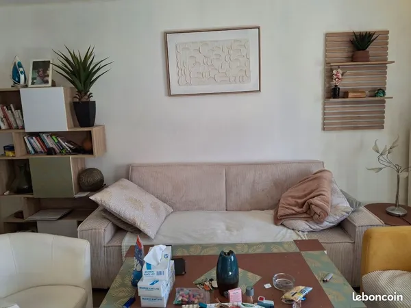 Cherche colocataire dans appartement de 50 m2 chaleureux et lumineux