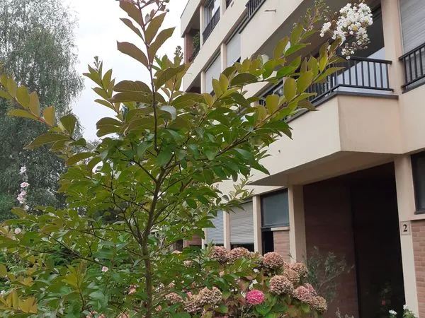 Chambre en colo pour etudiandes ou stagieres