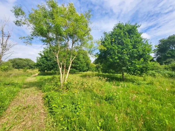 Terrain 14090 m²